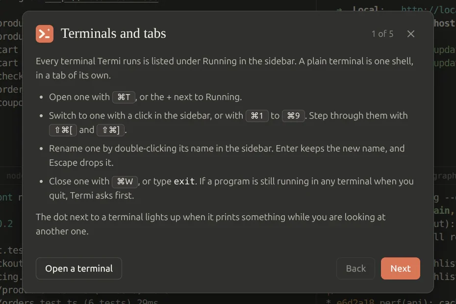 The first page of the Termi guide, titled Terminals and tabs, open over a window of terminals. It shows page 1 of 5 with Back and Next buttons.